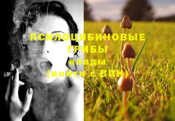 крисы Киреевск