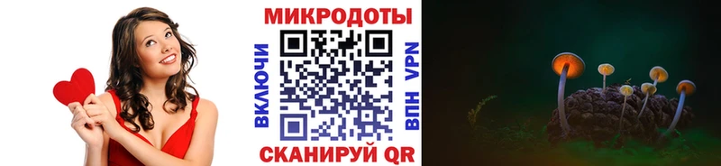 Купить  Новокубанск  Галлюциногенные грибы MAGIC MUSHROOMS 
